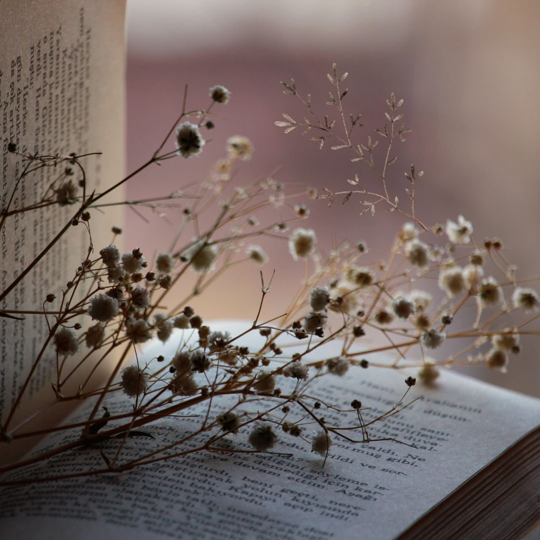 OPEN BOOK WITH BABY'S BREATH